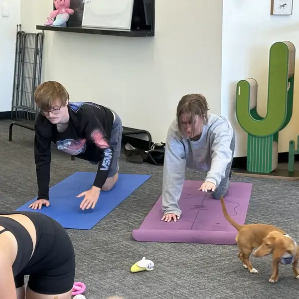 Relaxing puppy yoga session at K9 Rox Club